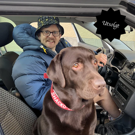 Ensjø Nybygg Mannskor - Hundehalsbånd